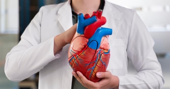 Проблем із серцем стає все більше: львівський лікар порадив, як вберегтись