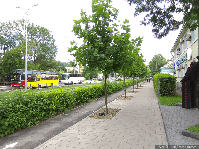 Фото: Олександр Шутюк