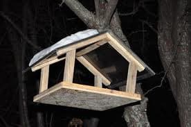 Маленьких львів'ян навчать робити годівнички