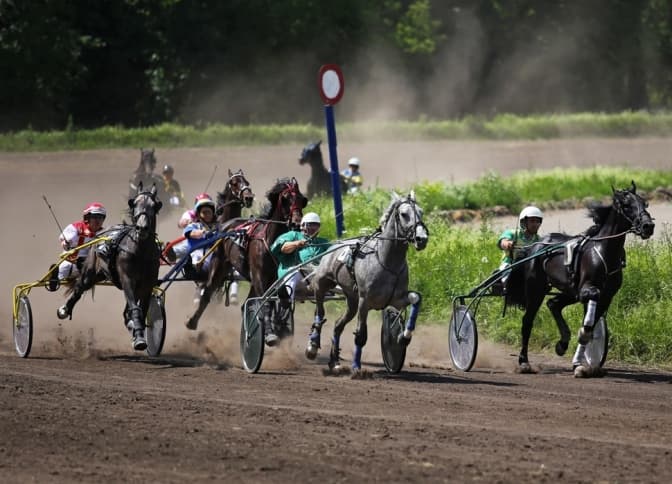 Фото: з відкритих джерел
