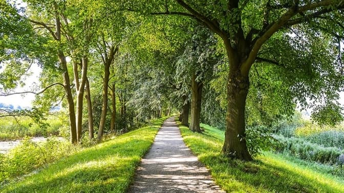 Фото з міського сайту Гамбурга