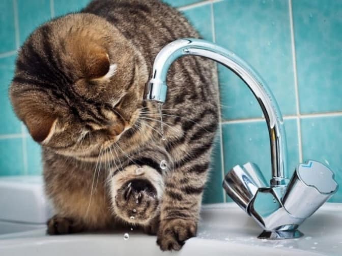 Понад 50 вулиць Львова будуть без води. Коли відновлять