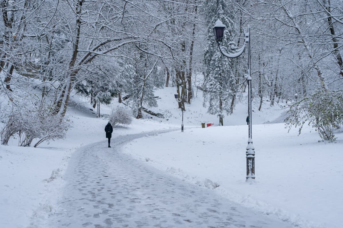 Морози до -20° та сніг: якою буде погода на Львівщині протягом тижня