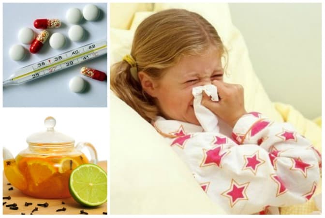 фото: nektar.rest, vkurse.ua, yak-prosto.com