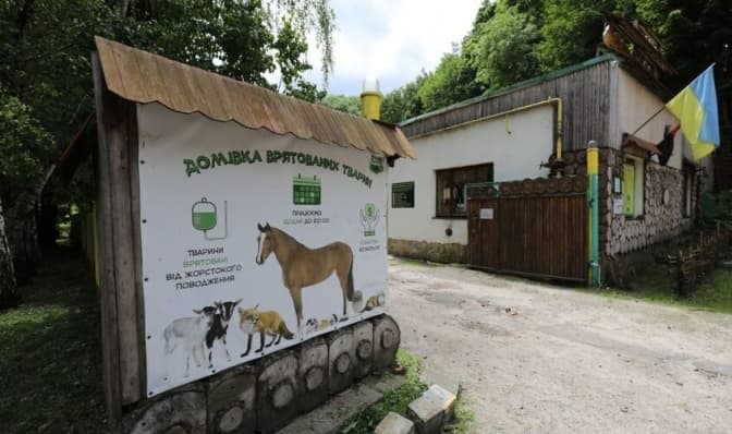 Базар Добра у Львові: кожен донат і покупка підтримують тварин із «Домівки»