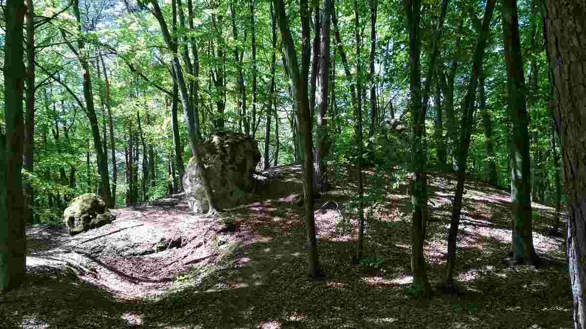 Фото з відкритих джерел