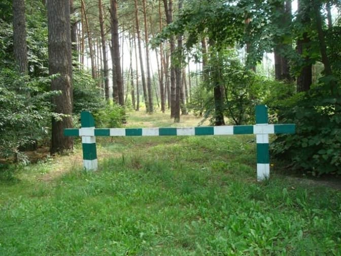 Мешканцям Львівщини заборонили відвідувати ліси одного з районів