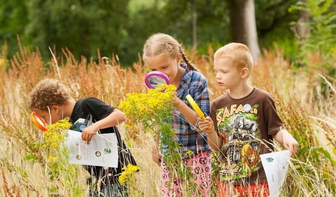 Дев’ять ідей, які батьки разом із дітьми мають втілити цього літа