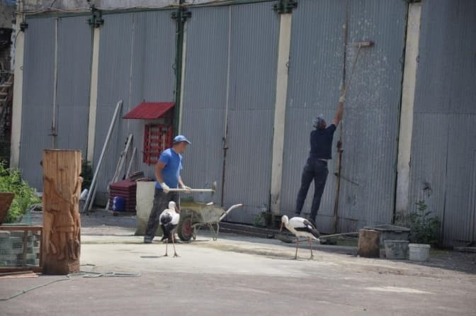 Фото: Анастасія Самодєєнко