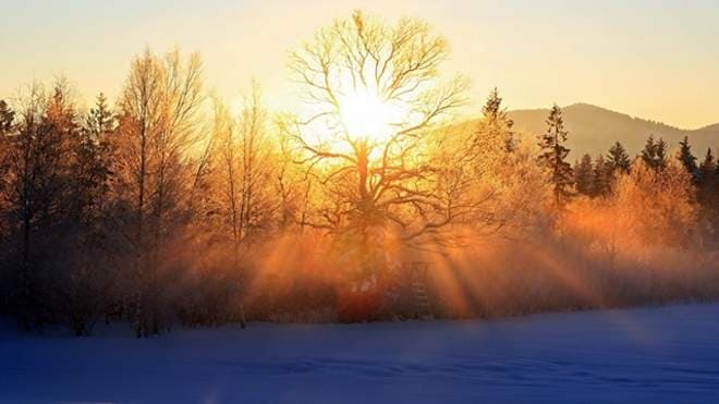 Фото: З відкритих джерел