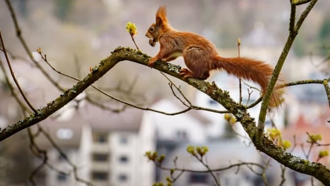 До Львова повернулося тепло. Що буде з погодою у вихідні