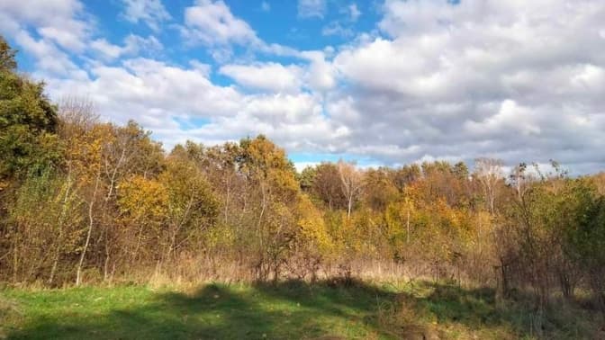 Cуд не скасував дозвіл на початок будівельних робіт на території Львівського геріатричного пансіонату