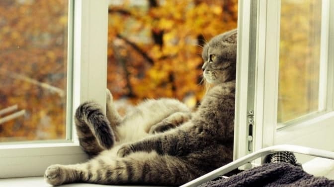 Наступного тижня українці матимуть чотири дні відпочинку