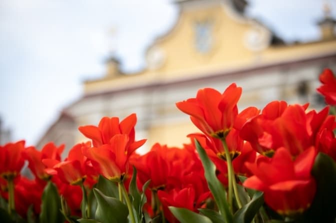 Радіаційний фон та рівень забрудненості повітря у Києві – в нормі