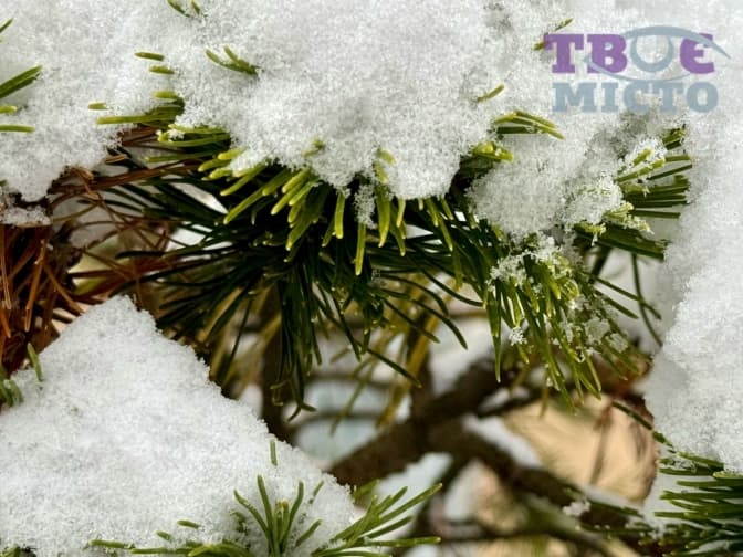 фото: твоє місто