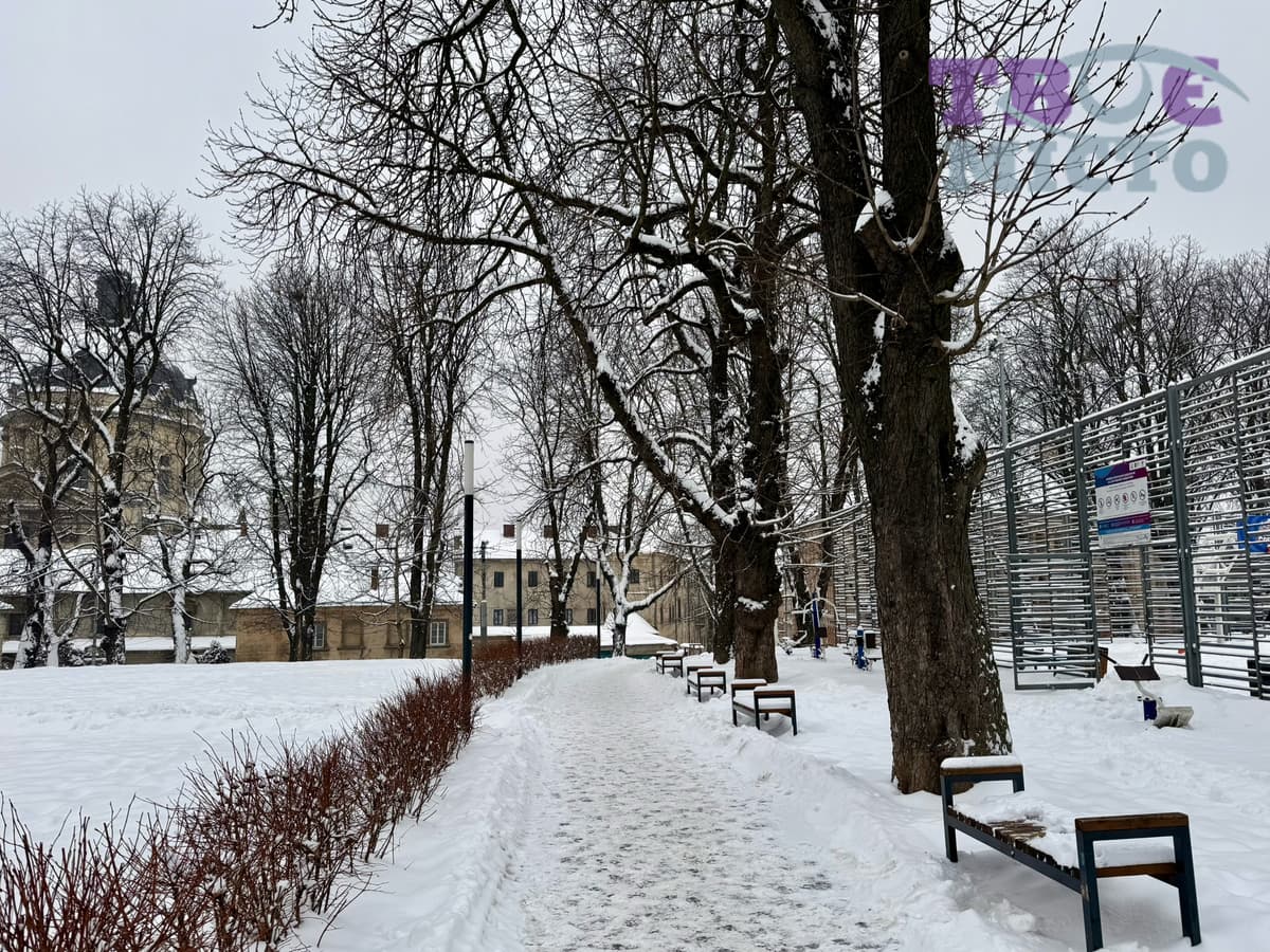 До 20 градусів морозу. Прогноз погоди у Львові на 11 січня