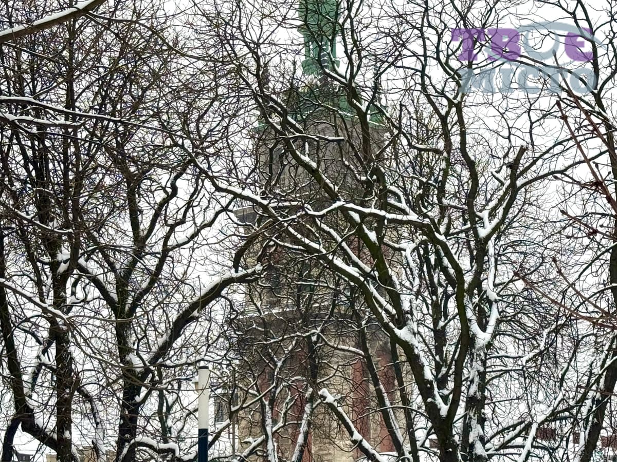 До 22 градусів морозу. Прогноз погоди на Львівщині на понеділок