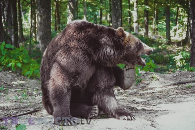 Фото: Катерини Хорощак