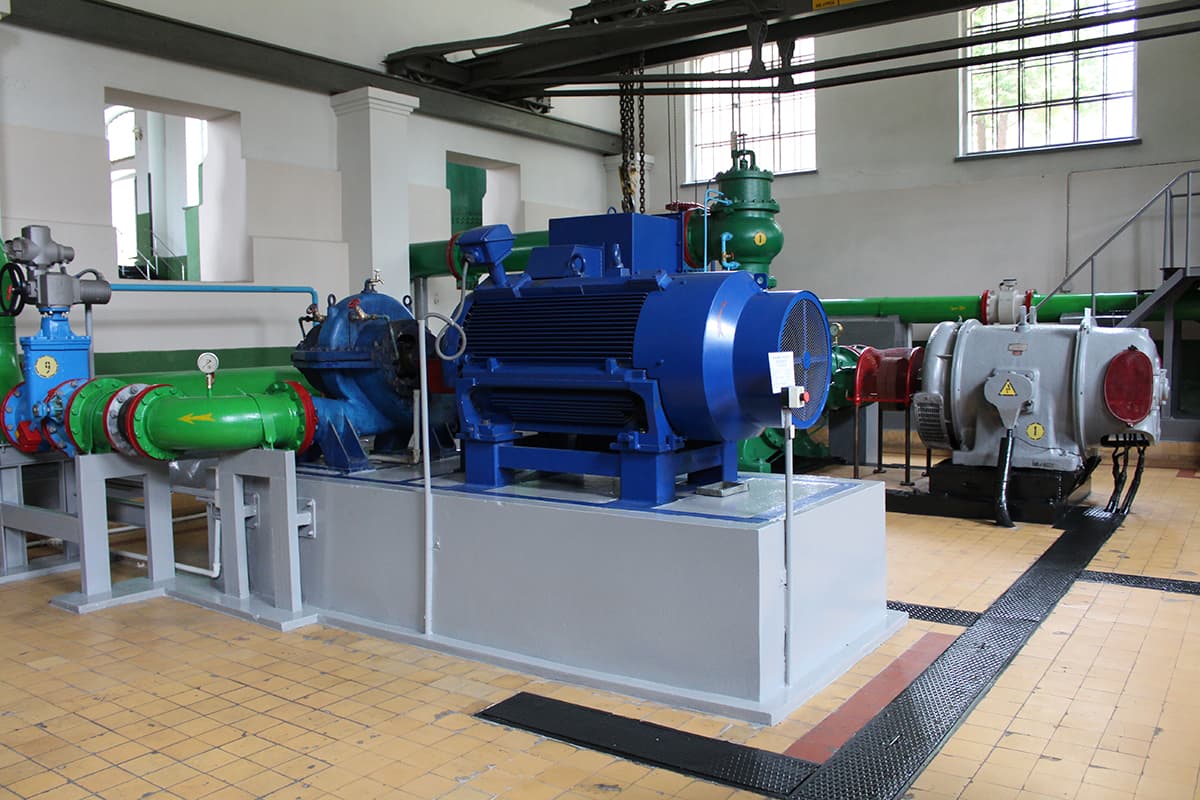 Фото: Вікторія Ейсмунт