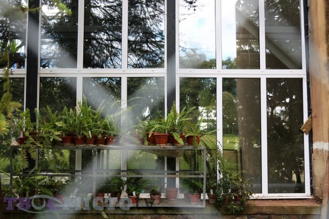 Фото: Анна Ютченко