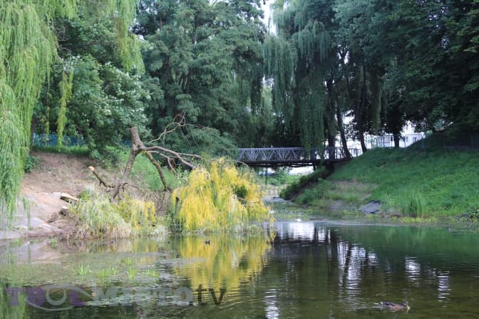 У Львові на покращення стану шести водойм виділили 4 мільйони гривень. Перелік