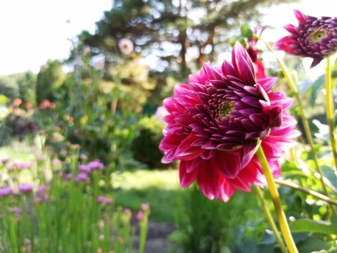 Фото: Катя Бортняк