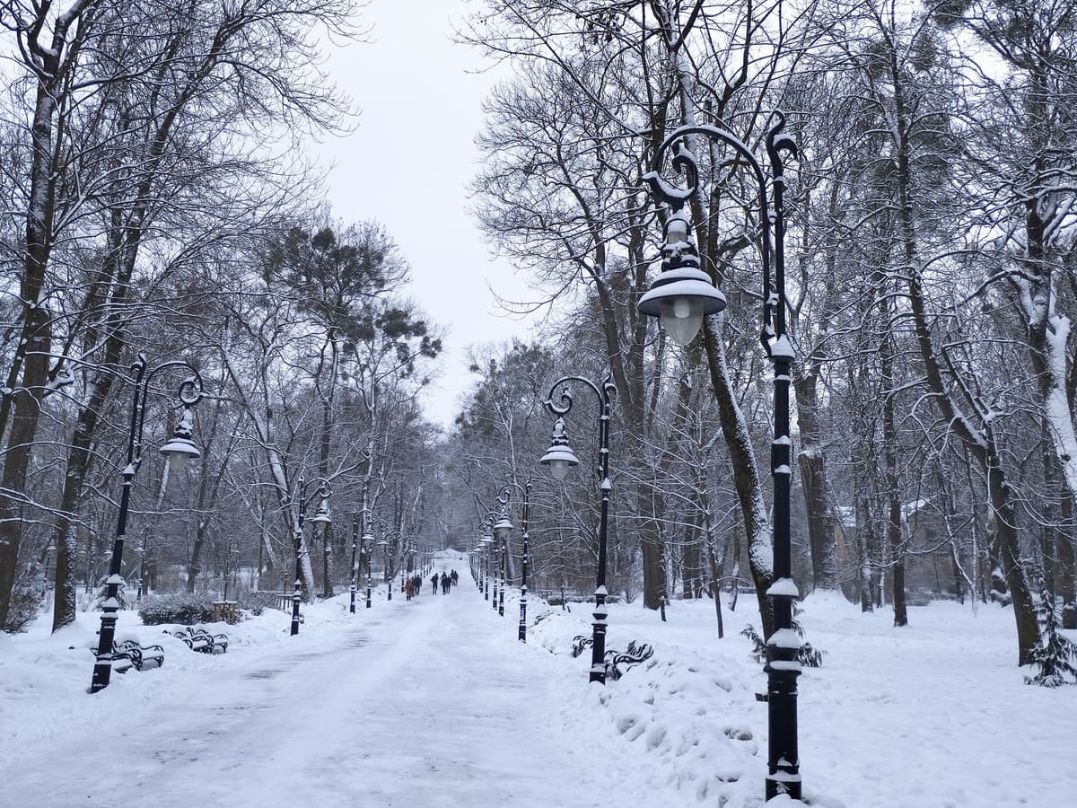 Синоптики попереджають про ожеледицю: якою буде погода на Львівщині 10 лютого