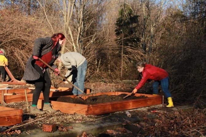У парку «Залізна вода» планують вирощувати овочі, трави та виноградник
