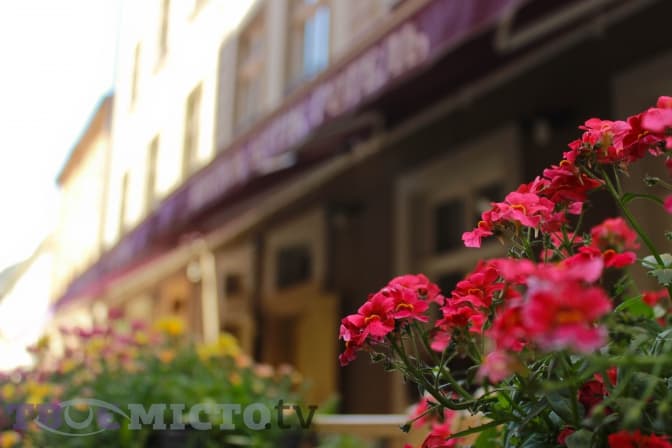 У Львові демонтовують один із незаконних літніх майданчиків. Відео