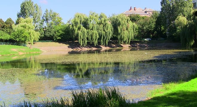 У яких львівських озерах можна купатися