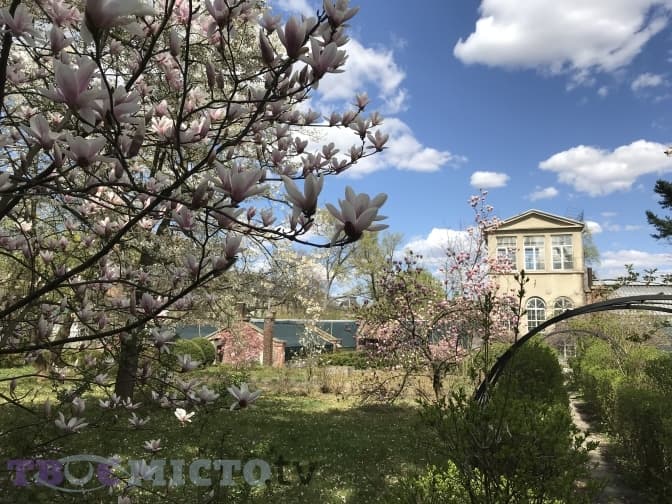 Фото: Тарас Бабенчук