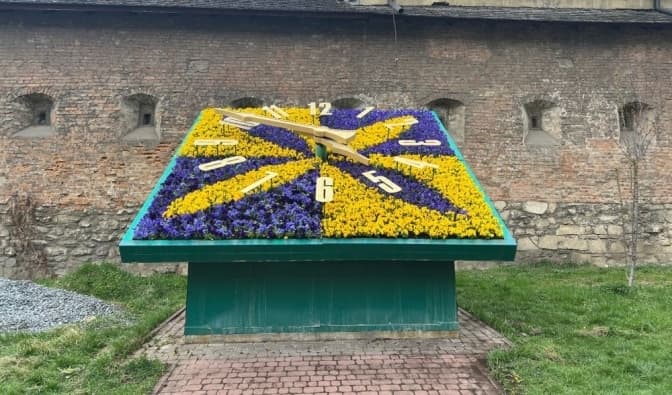 У центрі Львова висадили квіткові композиції
