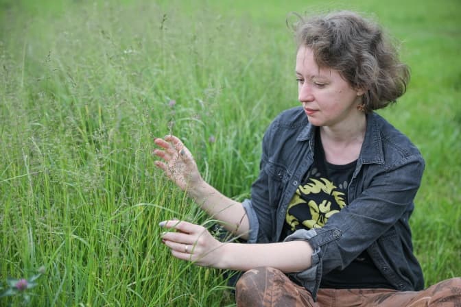 Не покосили, або Як аборигенні рослини змінюють вигляд скверу на Кульчицької