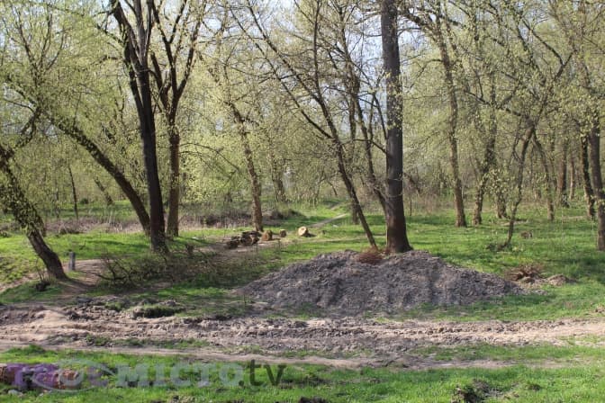 Львів’ян запрошують на толоку у Замарстинівський парк. Як долучитись
