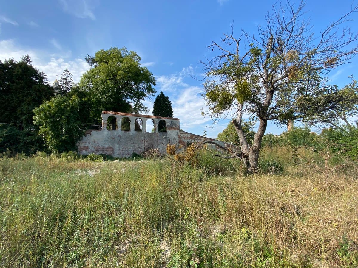 Фото: Тетяна Оліярчик