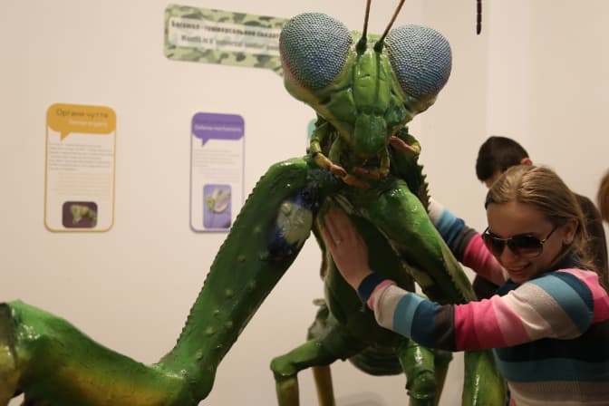 Природа на дотик. У Львові провели нестандартний урок для дітей із вадами зору. Фото, відео