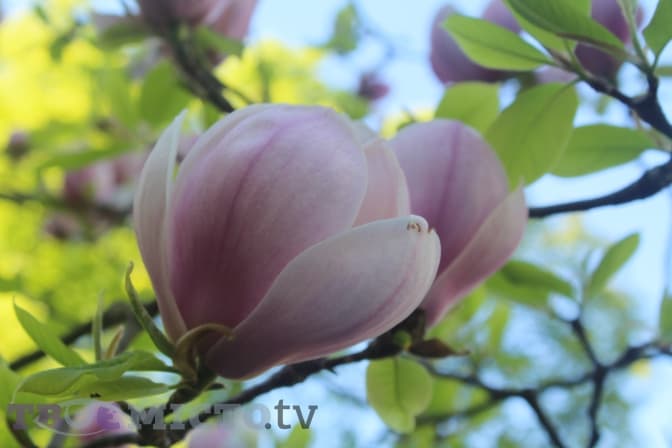 Фото: Вікторія Ейсмунт