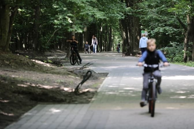 На Сихові у Львові зрізають аварійні дерева