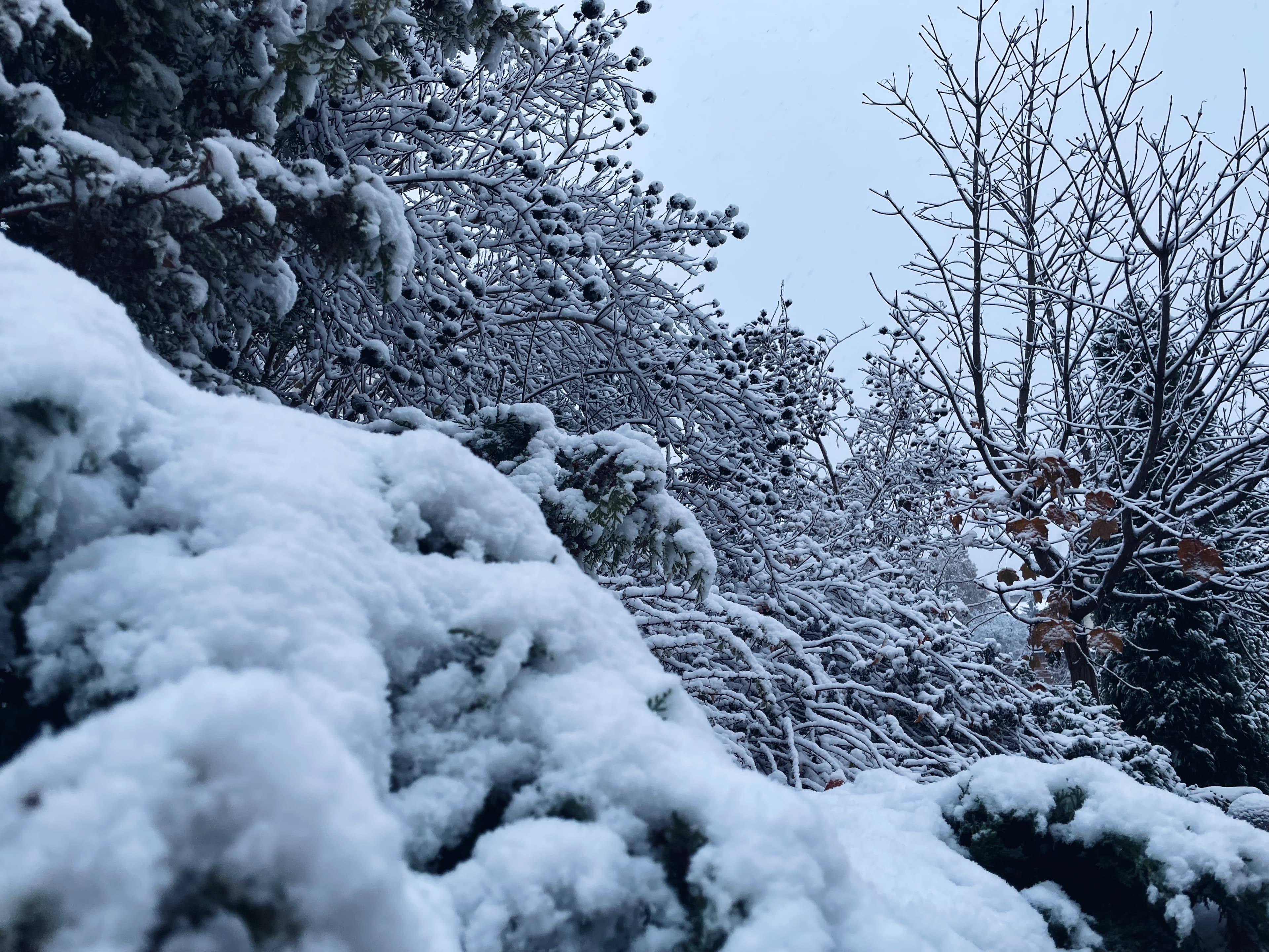 Фото: Твоє місто