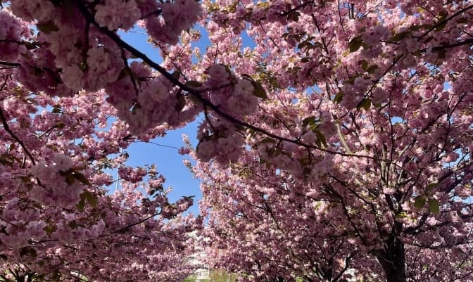 фото: твоє місто