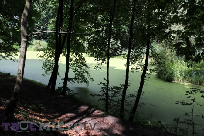 У львівському ботанічному саду реконструюють водойми