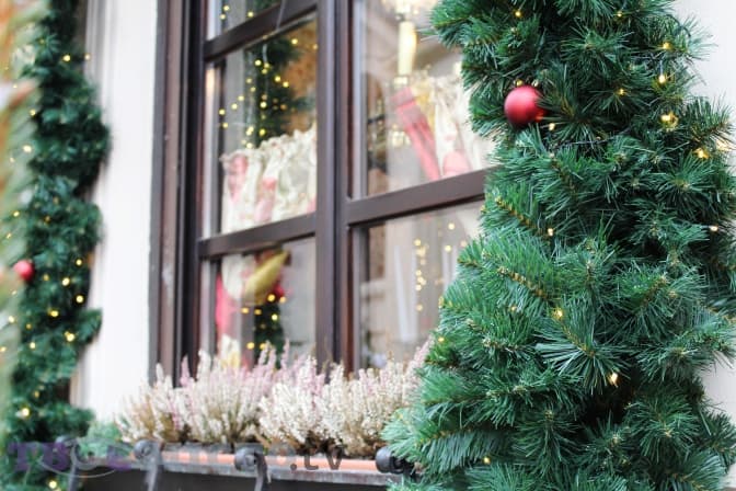 Фото: Вікторія Ейсмунт