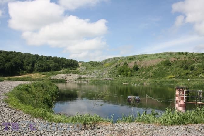 Фото: Ольга Коваль