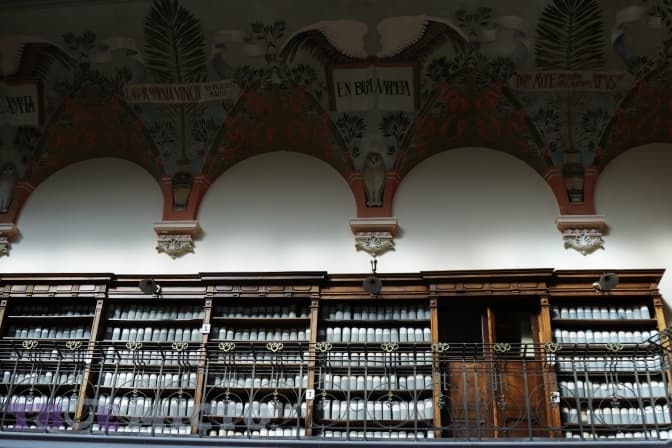 Фото: Анна Ютченко