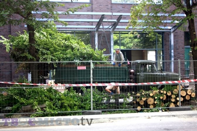 Фото: Роман Симович