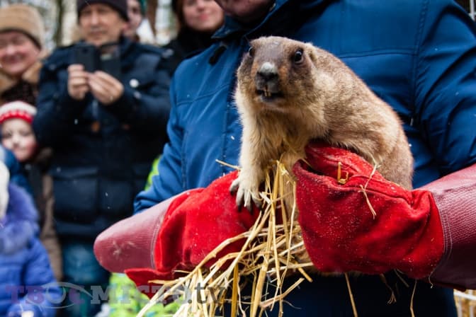 Львівські бабаки сьогодні не віщуватимуть прихід весни