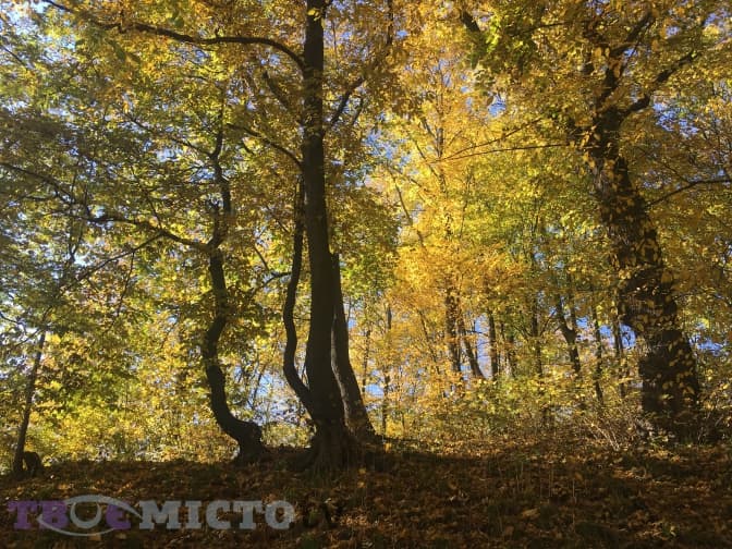 Львів у минулому і тепер: парк «Стара стрільниця». Раритетні фото