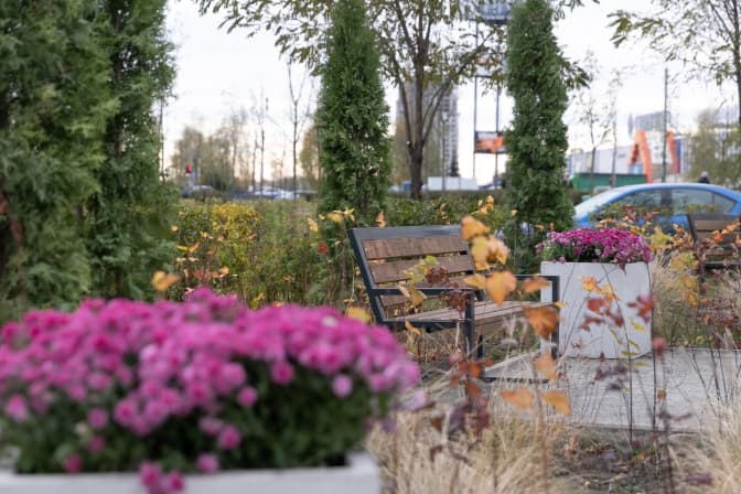 У Києві цієї осені з’являться нові інклюзивні сквери та зелені зупинки, - Київзеленбуд