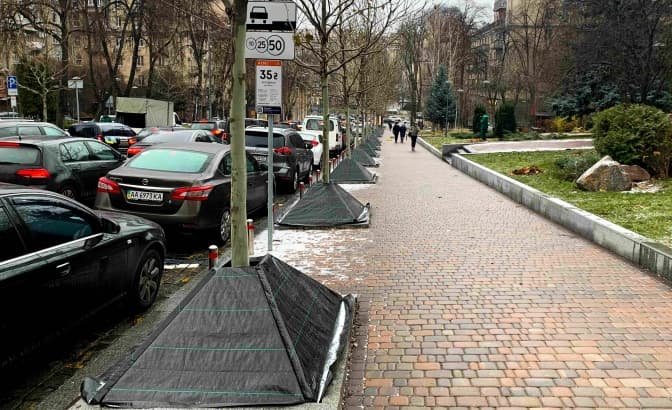 Бішофіт замість технічної солі і бар'єри біля дерев вздовж доріг. Київ переймає європейські методи захисту рослин