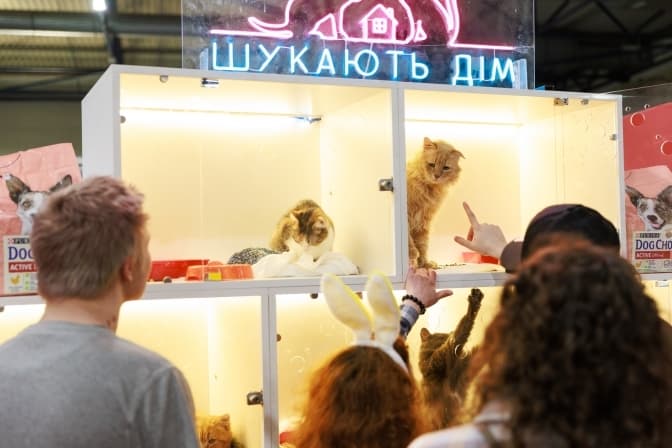 У Києві проведуть Дні адопції тварин та благодійний ярмарок